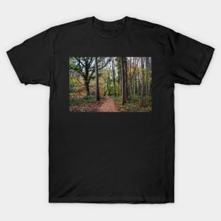 Autumn Woodland Path - Leaves Fallen From Trees T-Shirt